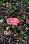 2022-11-20 08-59-28 - 6Z8A4974.jpg