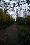 2022-11-20 09-43-24 - IMGP5626.JPG