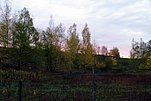 2022-11-20 09-46-17 - IMGP5627.JPG