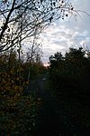 2022-11-20 10-16-44 - IMGP5650.JPG