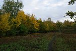 2022-11-20 10-51-39 - IMGP5657.JPG