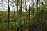 2022-11-20 11-29-42 - IMGP5684.JPG