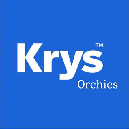 Logo Krys Orchies, opticien